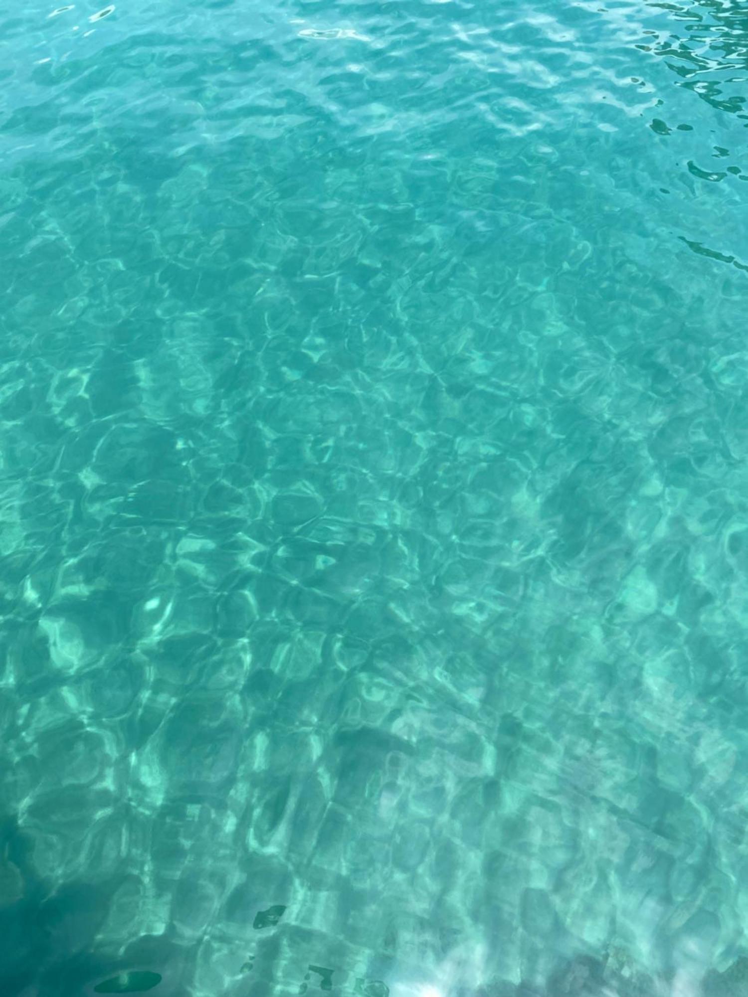 La Via Al Mare - Portofino In Battello Da Nervi
